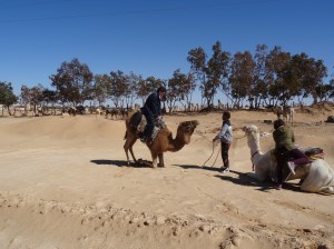 Tunisia trip 19-14 Feb 2015 299