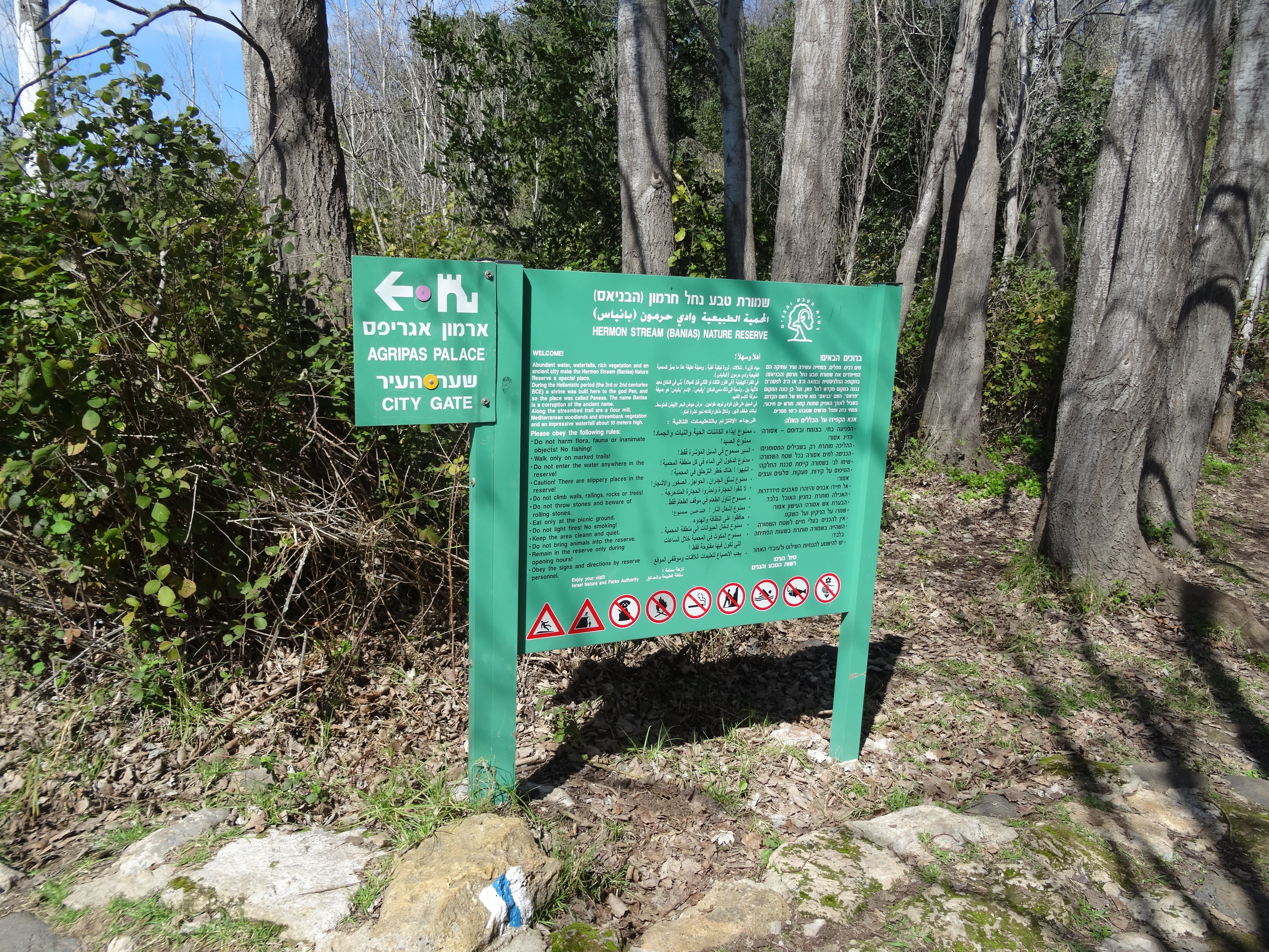 Photos from Golan and West Bank trip Feb 21-29 2016 751