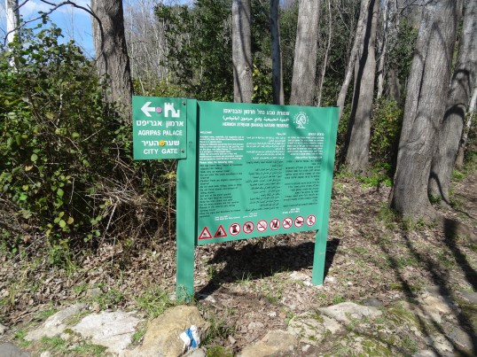 Photos from Golan and West Bank trip Feb 21-29 2016 751