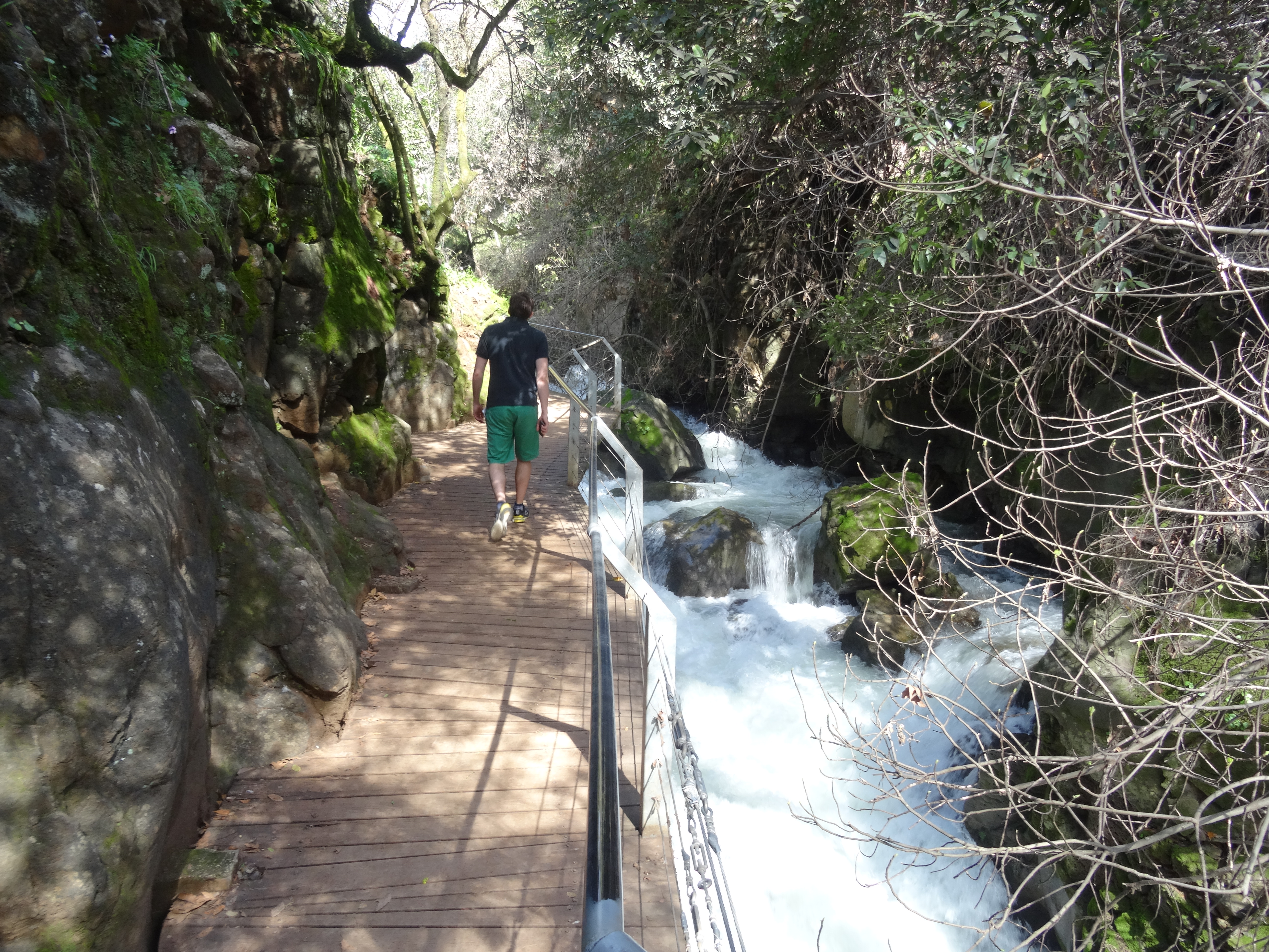 Photos from Golan and West Bank trip Feb 21-29 2016 778