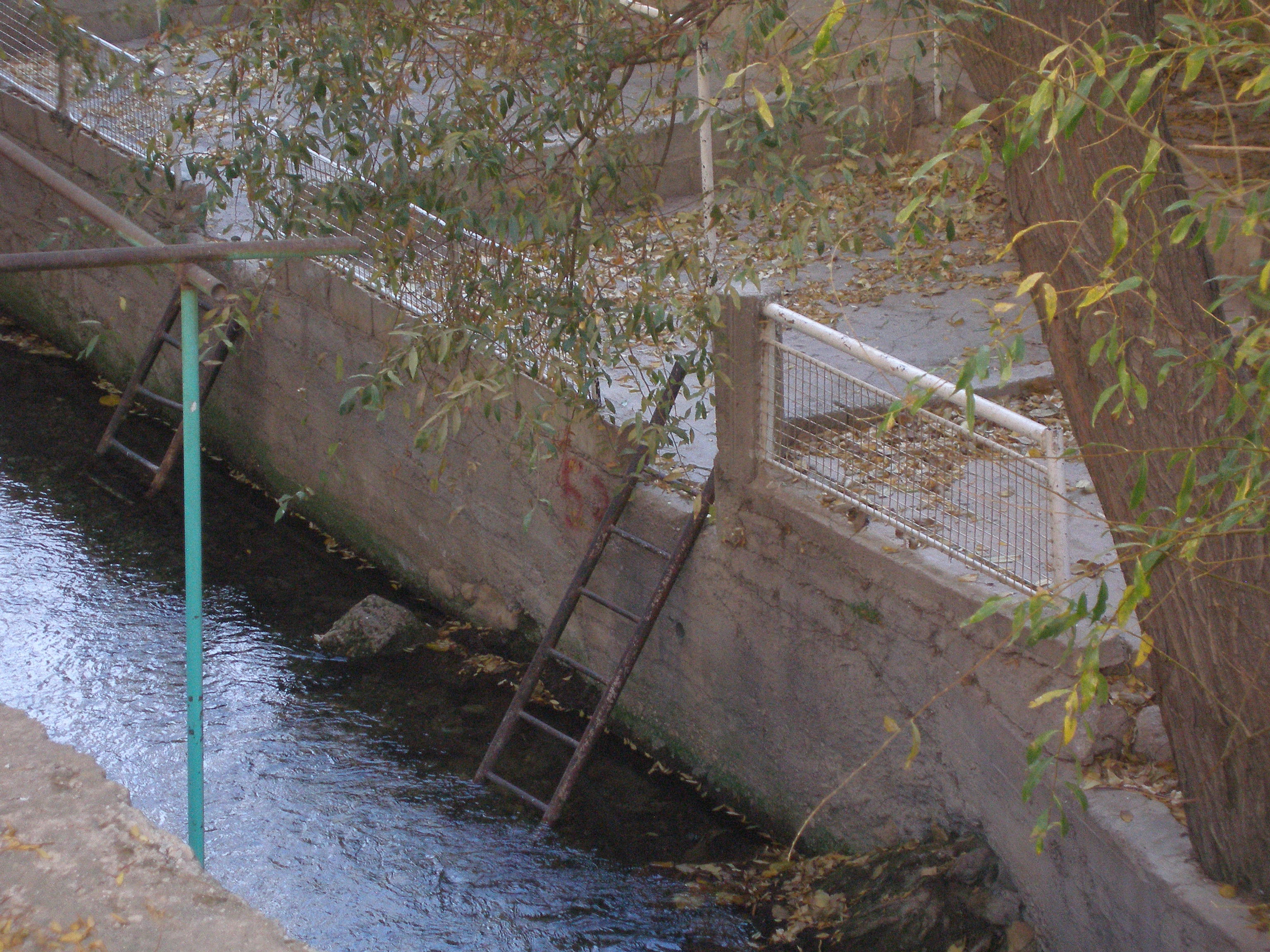 OLYMPUS DIGITAL CAMERA