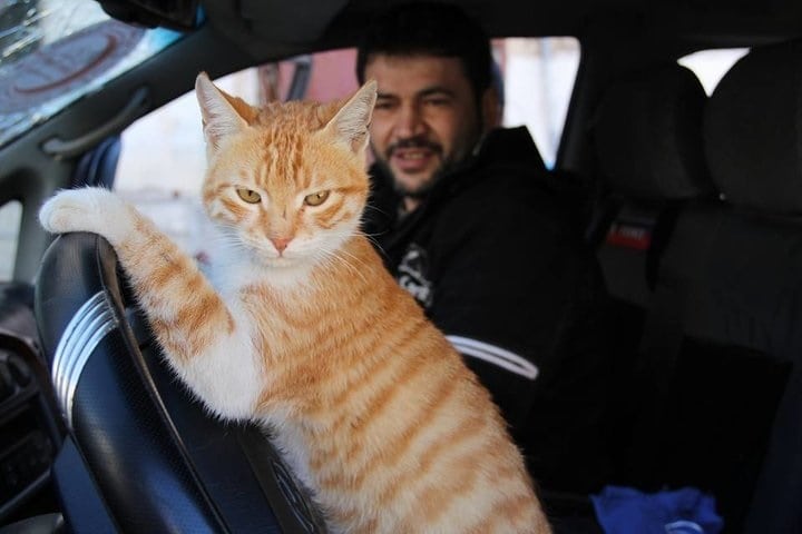 Alaa Cat Man and Ernesto